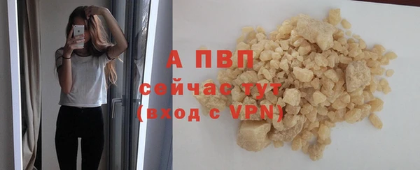 сатива Армянск