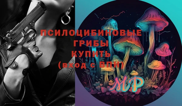 гашик Балахна
