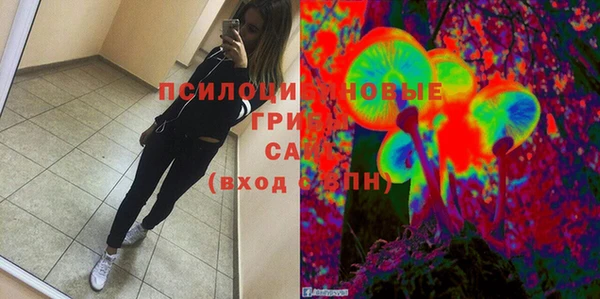 гашик Балахна