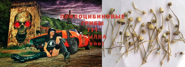 гидропоника Балабаново