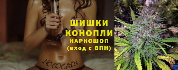 гашик Балахна
